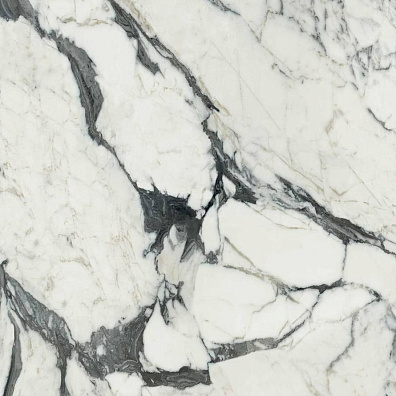 Керамогранит Rex Ceramiche Les Bijoux De Rex Calacatta Altissimo Matte Rett 60x60 766339