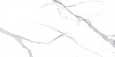 Керамогранит Ceradim Calacatta Splendid Silver Белый Матовый 60x120