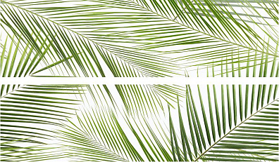 Панно Ceramika Konskie Brennero Tropic (2) 50x75
