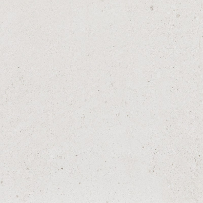 Керамогранит Porcelanosa Durango Bone Brillo 59.6x59.6 P18571531