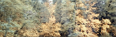 Декор Aparici Solid-Zero View Decor D 25.1x75.6 10014