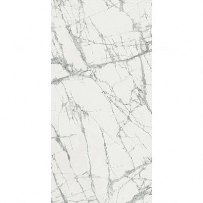 Керамогранит Italon Charme Deluxe Invisible White Lux 80x160 610015000502