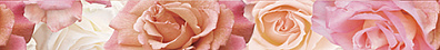 Бордюр Cersanit Wave Roses 5x44