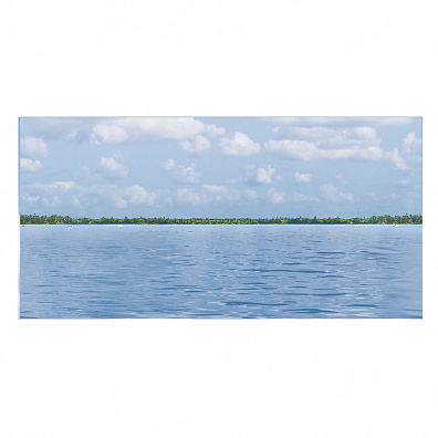 Декор Polcolorit Art Vela D 25x50