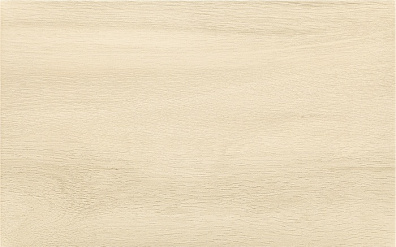 Плитка Paradyz Tembre Brown 25x40 настенная
