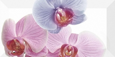 Декор Monopole Bisel 10x20 Orchidea 1 10x20