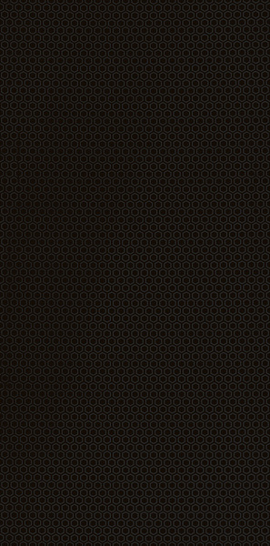Декор Paradyz Grace Nero Inserto A 29.5x59.5