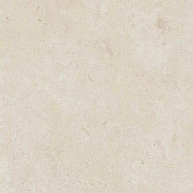 Керамогранит Ragno Eterna Blanco 60x60 R8KA