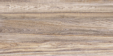 Плитка Alma Ceramica Lea Wood 24.9x50 настенная TWU09WOD404