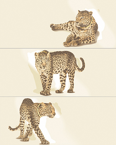 Декор ACIF Luxury Instinct Leopard Cream 3pcs 25x60