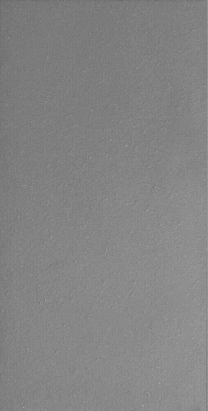 Керамогранит Exagres Proyect Gris Base 12 Ref.701 12x24.5