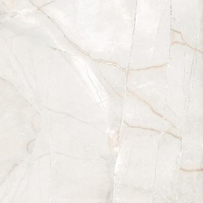 Керамогранит Cerdomus Pulpis Bianco Levigato 120x120 81269