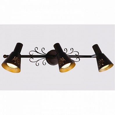 Спот Citilux Дункан CL529531