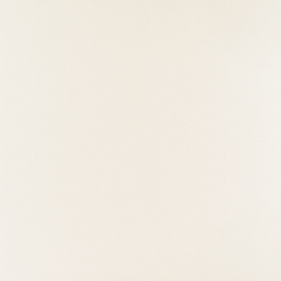 Напольная плитка Elementary white Mat 59.8x59.8 Tubadzin