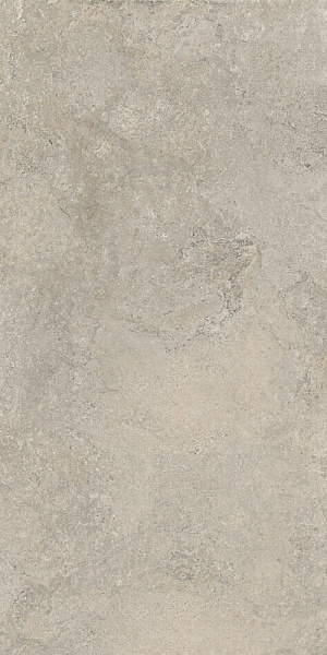 Керамогранит Cercom Stone Vision Ash Ret 60x120 1090664