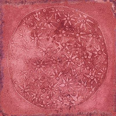 Декор Vives Ceramica Luca Carlo Granate-B 20x20