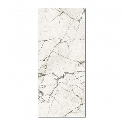 Керамогранит Caesar Anima Ever Magnificent White Luc Rt 120x278 AFAZ