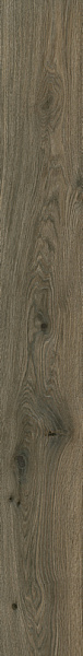 Керамогранит Italon Avantgarde Pepper 20x160 610010005707