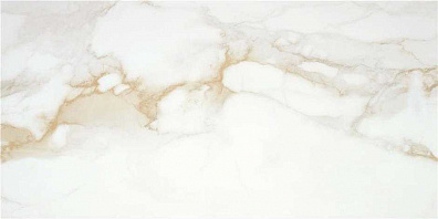 Керамогранит STN Ceramica Camile Gold Satin Rect 60x120