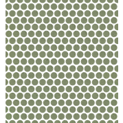 Мозаика настенная 735612 Extra Light Mosaico Circle Jade 30x30 Rex Ceramiche