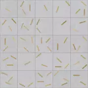 Керамогранит Arcana Ceramica Komi Maolan-R Gris 20x20