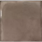 Настенная плитка 23971 Splendours Brown 15х15 Equipe