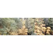 Декор Aparici Solid-Zero View Decor D 25.1x75.6 10014
