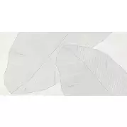 Декор Laparet Caravan Blanco Матовый Обрезной 40x80 OS\A368\48038R