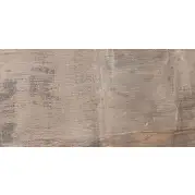 Керамогранит ABK Ceramiche Fossil Brown Nat 30x60 FSN03150