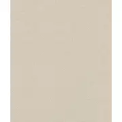 Флизелиновые обои Rasch Textil Alliage 297491