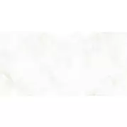 Плитка Alma Ceramica Bergamo 24.9x50 настенная TWU09BGM004
