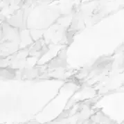 Напольная плитка Argenta Carrara White Shine 60x60
