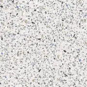 Керамогранит 23635 Micro Stracciatella Grey 20x20 Equipe
