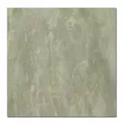 Керамогранит Caesar Anima Ever Sage Green Luc Rt 120x120 AFBJ