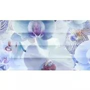 Декор Ceradim Vanda Panno C 25x45