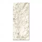 Керамогранит Caesar Anima Ever Luxury Arabesque Luc Rt 120x278 AFA1