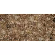 Керамогранит Marmocer Semiprecious Petrified Wood 100x100 MC-SP09