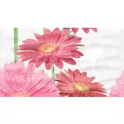 Декор Ceradim Gerbera Panno B 25x45