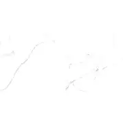 Керамогранит Realistik Oriental White 60х120