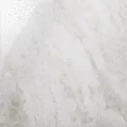 Напольная плитка Kerama Marazzi Триумф Светло-Серый 42x42