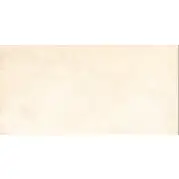 Керамогранит Grasaro Beton бежевый 30x60 G-1101/MR