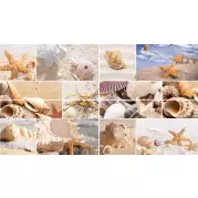 Панно Lasselsberger Ceramics Николь фантазия 50х90 1609-0011