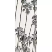 Керамогранит ABK Ceramiche Wide and Style Hollywood A 120x280 PF60009392