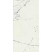 Керамогранит Ragno Maiora Marble Effect Statuario Glossy Rettificato 120x278 R7EM