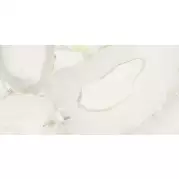 Керамогранит Brennero Grandiosa Avorio Lapp Rett 60x120