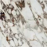 Керамогранит Rex Ceramiche Les Bijoux De Rex Breche Capraia Glossy Rett 60x60 766344