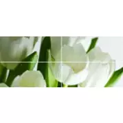 Панно Polcolorit Arco Digital Tulipany 50x120 (комплект)