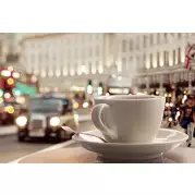 Декор D2D249 D2 Travel cup 30х20 Муза-Керамика
