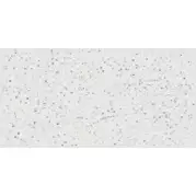 Керамогранит Emil Ceramica Tele Di Marmo Statuario Michelangelo Seminato Di Tessere Lappato 59x118.2 ED3T