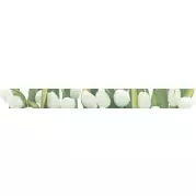 Бордюр Polcolorit Arco Digital Tulipany 6x60